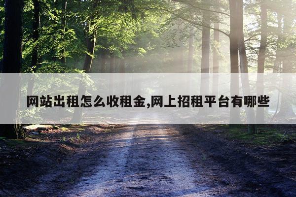 网站出租怎么收租金,网上招租平台有哪些
