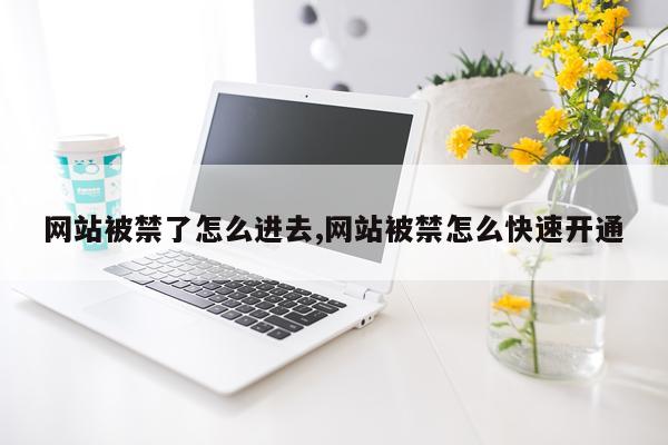 网站被禁了怎么进去,网站被禁怎么快速开通