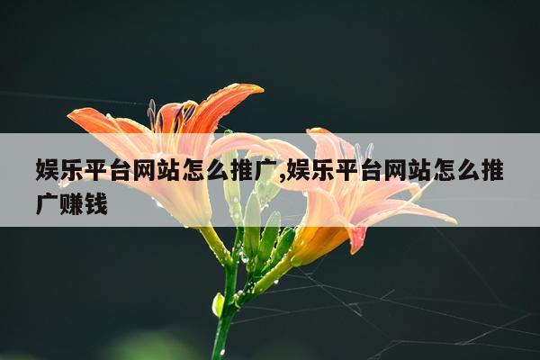娱乐平台网站怎么推广,娱乐平台网站怎么推广赚钱