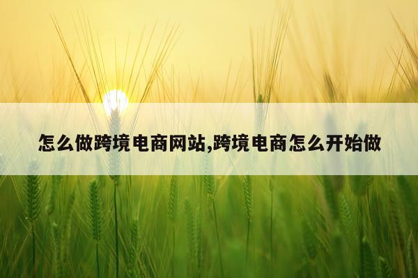怎么做跨境电商网站,跨境电商怎么开始做