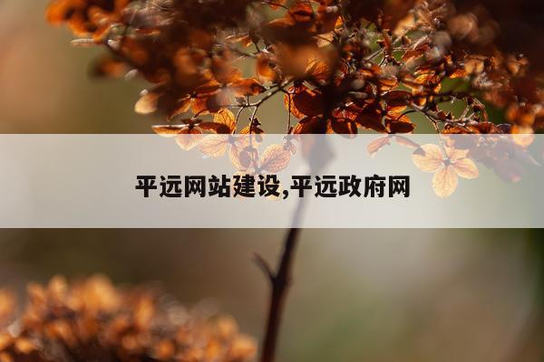 平远网站建设,平远政府网
