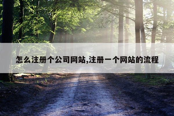 怎么注册个公司网站,注册一个网站的流程