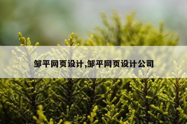 邹平网页设计,邹平网页设计公司