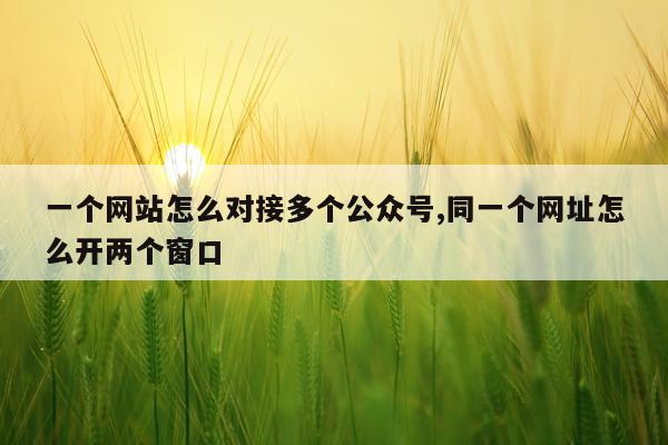 一个网站怎么对接多个公众号,同一个网址怎么开两个窗口