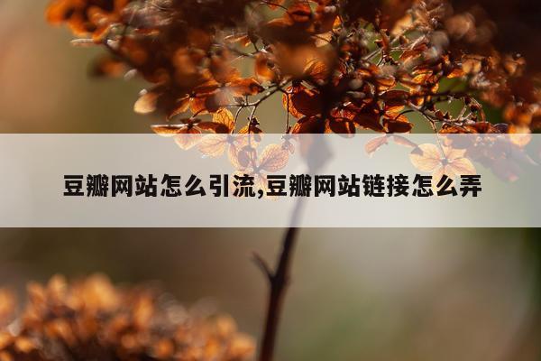 豆瓣网站怎么引流,豆瓣网站链接怎么弄