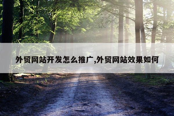 外贸网站开发怎么推广,外贸网站效果如何