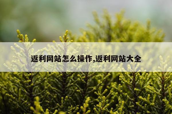 返利网站怎么操作,返利网站大全