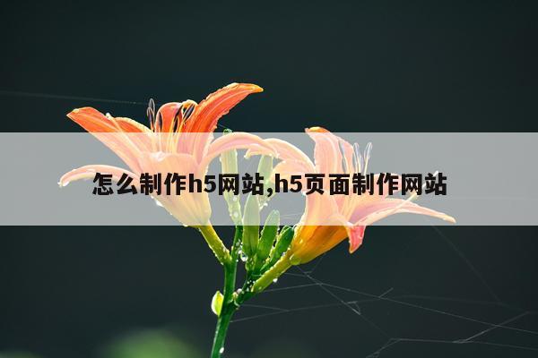 怎么制作h5网站,h5页面制作网站