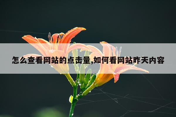 怎么查看网站的点击量,如何看网站昨天内容