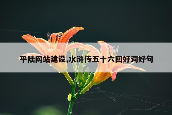 平陆网站建设,水浒传五十六回好词好句