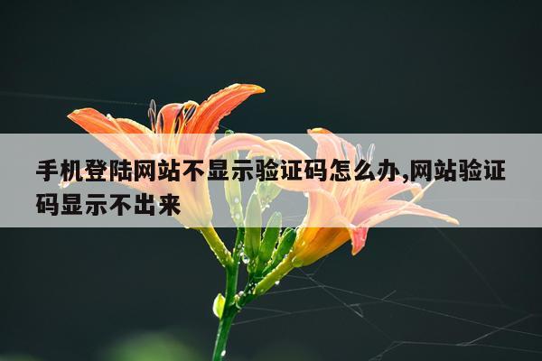 手机登陆网站不显示验证码怎么办,网站验证码显示不出来
