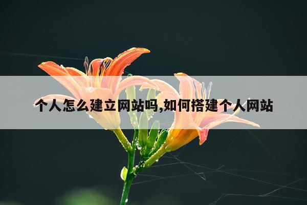 个人怎么建立网站吗,如何搭建个人网站
