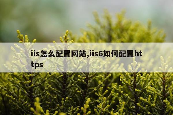iis怎么配置网站,iis6如何配置https