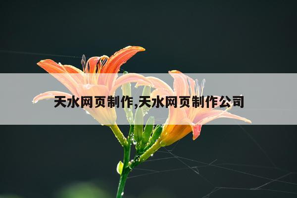天水网页制作,天水网页制作公司