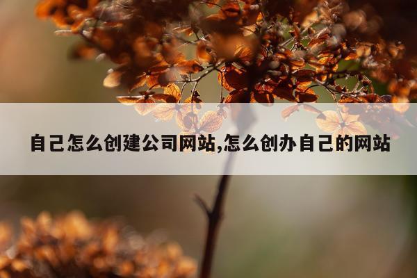 自己怎么创建公司网站,怎么创办自己的网站