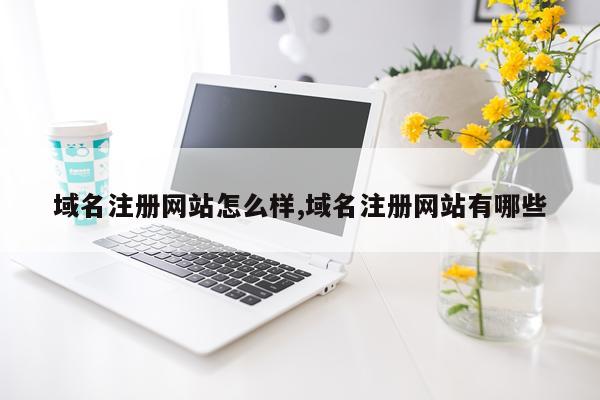 域名注册网站怎么样,域名注册网站有哪些