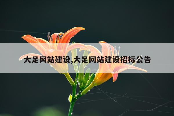 大足网站建设,大足网站建设招标公告