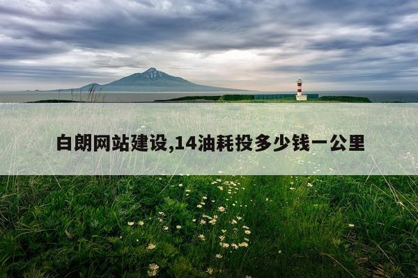 白朗网站建设,14油耗投多少钱一公里