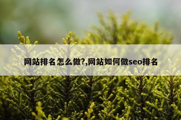 网站排名怎么做?,网站如何做seo排名