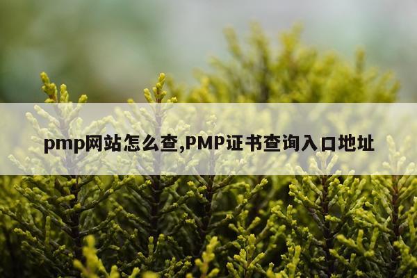 pmp网站怎么查,PMP证书查询入口地址