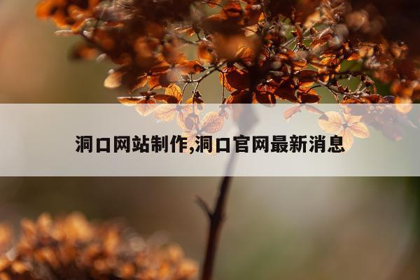 洞口网站制作,洞口官网最新消息