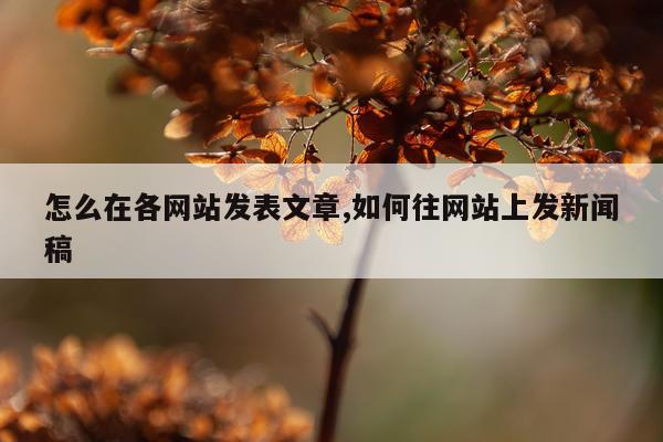 怎么在各网站发表文章,如何往网站上发新闻稿