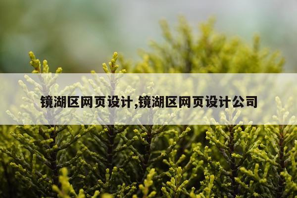 镜湖区网页设计,镜湖区网页设计公司