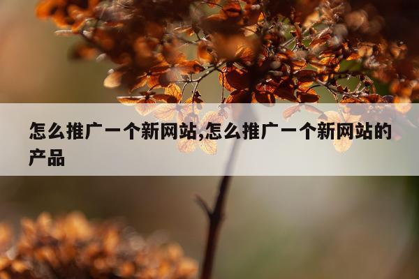 怎么推广一个新网站,怎么推广一个新网站的产品