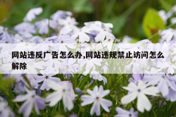 网站违反广告怎么办,网站违规禁止访问怎么解除