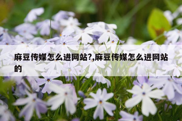 麻豆传媒怎么进网站?,麻豆传媒怎么进网站的
