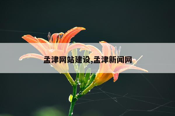 孟津网站建设,孟津新闻网