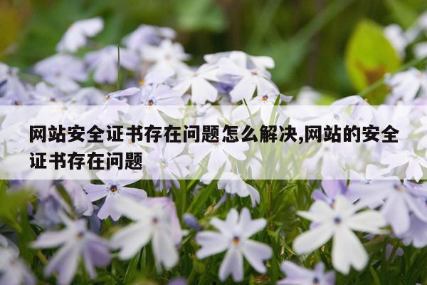 网站安全证书存在问题怎么解决,网站的安全证书存在问题