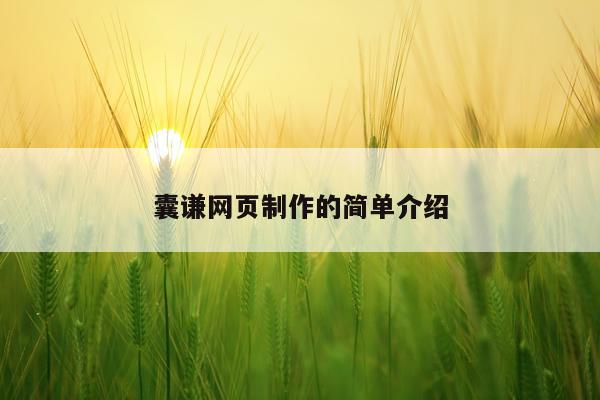 囊谦网页制作的简单介绍