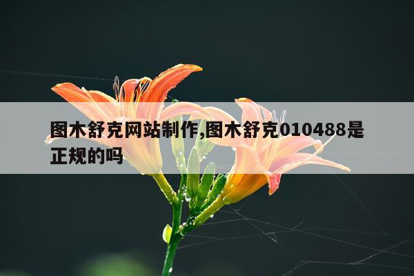 图木舒克网站制作,图木舒克010488是正规的吗