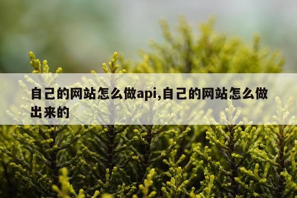 自己的网站怎么做api,自己的网站怎么做出来的