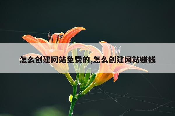 怎么创建网站免费的,怎么创建网站赚钱