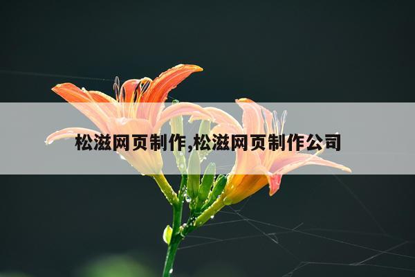 松滋网页制作,松滋网页制作公司
