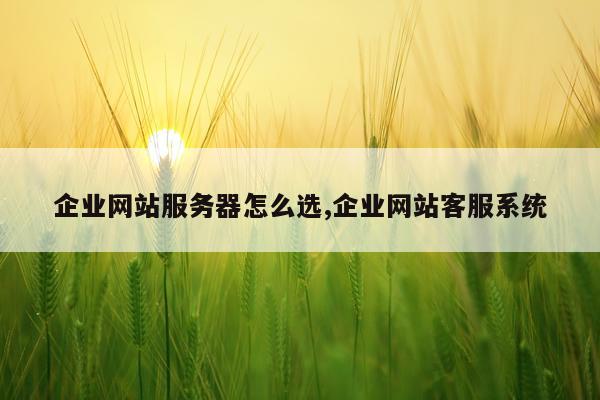 企业网站服务器怎么选,企业网站客服系统