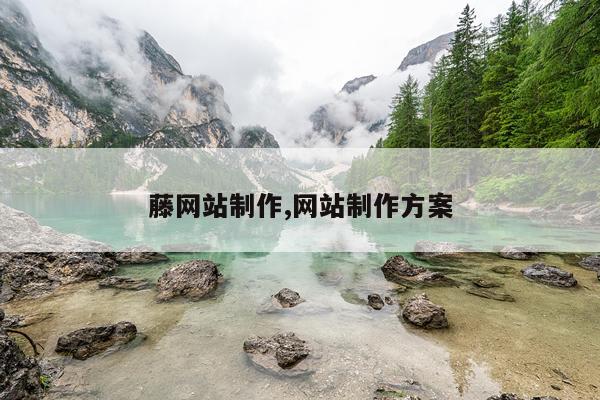藤网站制作,网站制作方案