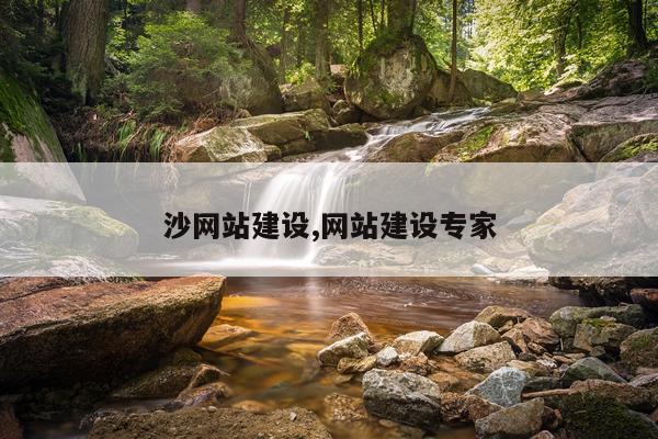 沙网站建设,网站建设专家