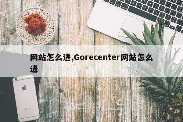 网站怎么进,Gorecenter网站怎么进