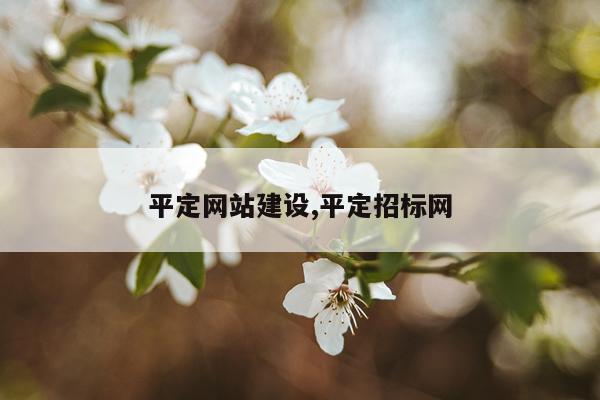 平定网站建设,平定招标网