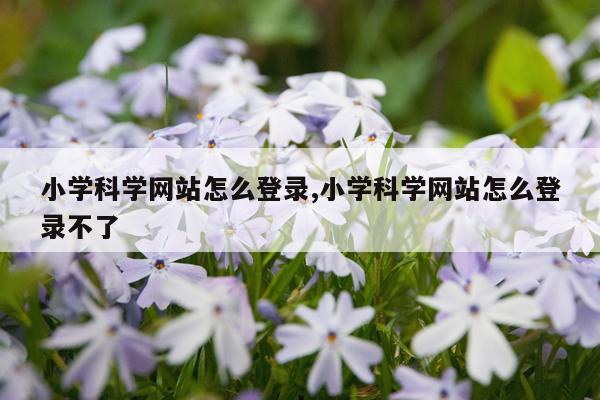 小学科学网站怎么登录,小学科学网站怎么登录不了