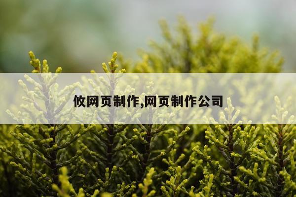 攸网页制作,网页制作公司