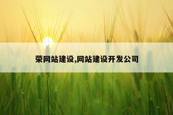 荣网站建设,网站建设开发公司