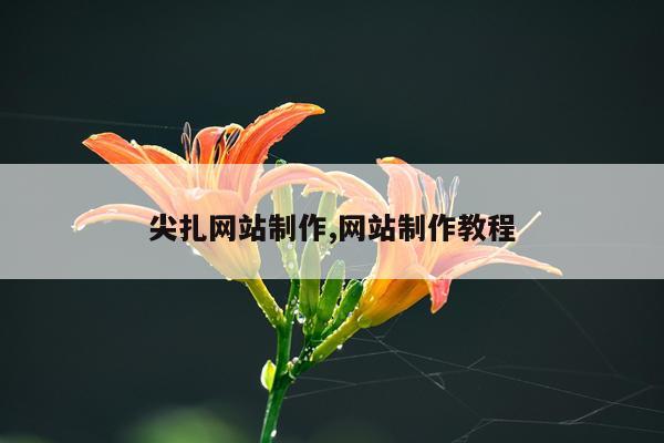 尖扎网站制作,网站制作教程