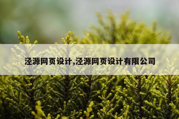 泾源网页设计,泾源网页设计有限公司