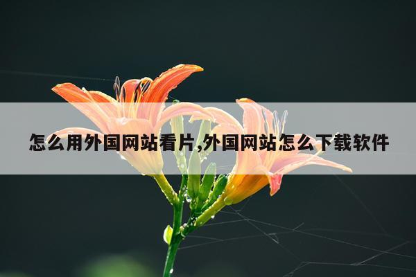 怎么用外国网站看片,外国网站怎么下载软件