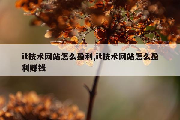 it技术网站怎么盈利,it技术网站怎么盈利赚钱