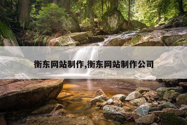衡东网站制作,衡东网站制作公司